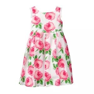 Janie & Jack Floral Sleeveless Pleated Dress